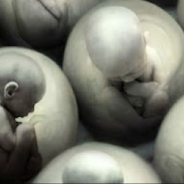 ¿Qué hacemos con los embriones que ya están congelados? Les comparto este diálogo ético!